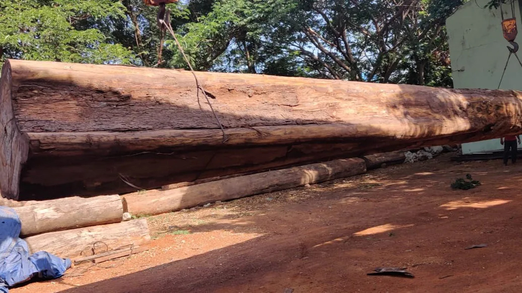 Timber Wholesaler & Retailer in Chennai
